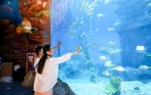 Туры в отель Steigenberger Jinan Fengming