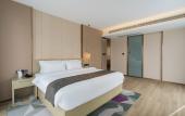 Туры в отель Lavande Hotel (Nanjing South Railway Station Jiulong Lake Subway Station)
