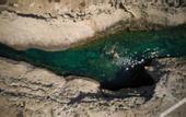 Туры в отель Domes White Coast Milos, Adults Only