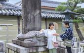 Туры в отель OMO3 Kyoto Toji by Hoshino Resorts