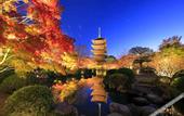 Туры в отель OMO3 Kyoto Toji by Hoshino Resorts