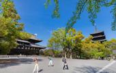 Туры в отель OMO3 Kyoto Toji by Hoshino Resorts