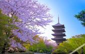 Туры в отель OMO3 Kyoto Toji by Hoshino Resorts
