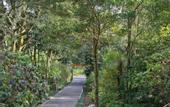 Туры в отель Senda Monteverde Hotel Member of the Cayuga Collection