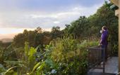 Туры в отель Senda Monteverde Hotel Member of the Cayuga Collection