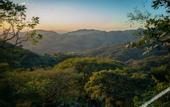 Туры в отель Senda Monteverde Hotel Member of the Cayuga Collection
