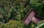 Туры в отель Senda Monteverde Hotel Member of the Cayuga Collection