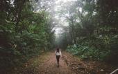 Туры в отель Senda Monteverde Hotel Member of the Cayuga Collection