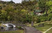 Туры в отель Senda Monteverde Hotel Member of the Cayuga Collection