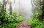 Туры в отель Senda Monteverde Hotel Member of the Cayuga Collection