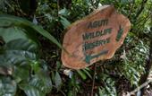 Туры в отель Senda Monteverde Hotel Member of the Cayuga Collection