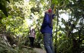 Туры в отель Senda Monteverde Hotel Member of the Cayuga Collection