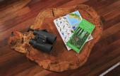 Туры в отель Senda Monteverde Hotel Member of the Cayuga Collection