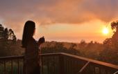 Туры в отель Senda Monteverde Hotel Member of the Cayuga Collection
