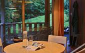 Туры в отель Senda Monteverde Hotel Member of the Cayuga Collection