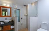 Туры в отель Senda Monteverde Hotel Member of the Cayuga Collection