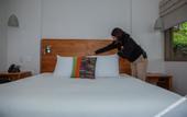 Туры в отель Senda Monteverde Hotel Member of the Cayuga Collection