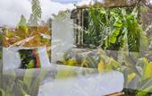 Туры в отель Senda Monteverde Hotel Member of the Cayuga Collection