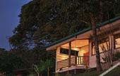 Туры в отель Senda Monteverde Hotel Member of the Cayuga Collection