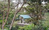 Туры в отель Senda Monteverde Hotel Member of the Cayuga Collection