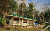 Туры в отель Senda Monteverde Hotel Member of the Cayuga Collection