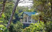 Туры в отель Senda Monteverde Hotel Member of the Cayuga Collection
