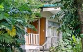 Туры в отель Senda Monteverde Hotel Member of the Cayuga Collection
