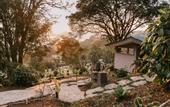 Туры в отель Senda Monteverde Hotel Member of the Cayuga Collection