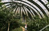 Туры в отель Senda Monteverde Hotel Member of the Cayuga Collection