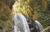 Туры в отель Senda Monteverde Hotel Member of the Cayuga Collection