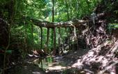 Туры в отель Senda Monteverde Hotel Member of the Cayuga Collection