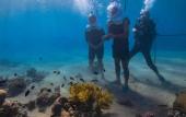 Туры в отель Luxotel Aqaba Beach Resort & Spa Only 15 years plus