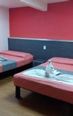 Туры в отель Hotel Piet