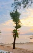 Туры в отель Gili Beachfront Suites