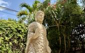 Туры в отель Pachamaya Holistic Wellness & Spa - Adults Only