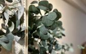 Туры в отель Pachamaya Holistic Wellness & Spa - Adults Only