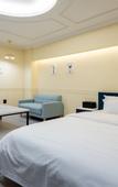 Туры в отель Hotel Bosco Incheon