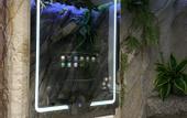 Туры в отель Futurotel Spa Garden