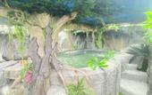 Туры в отель Futurotel Spa Garden
