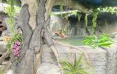 Туры в отель Futurotel Spa Garden