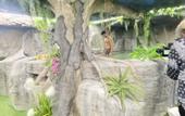 Туры в отель Futurotel Spa Garden