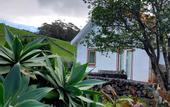 Туры в отель Franco da Serra Country House