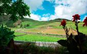 Туры в отель Franco da Serra Country House