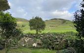 Туры в отель Franco da Serra Country House