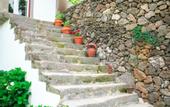 Туры в отель Franco da Serra Country House