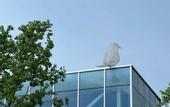 Туры в отель Hampton by Hilton Hangzhou Liangzhu