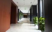 Туры в отель UrCove by Hyatt Cangzhou Grand Canal