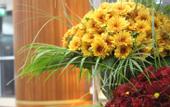 Туры в отель Grand Excelsior Hotel Sharjah