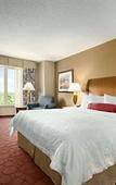 Туры в отель Hilton Garden Inn Chicago OHare Airport