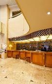 Туры в отель ANA Holiday Inn Tokyo Bay